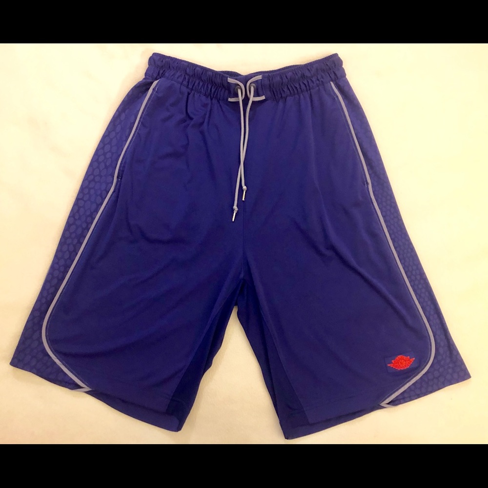 Jordan 2 Retro Iron Purple Shorts, Men’s Large